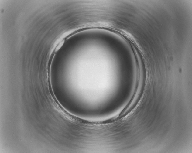 X0000052941184200507221139