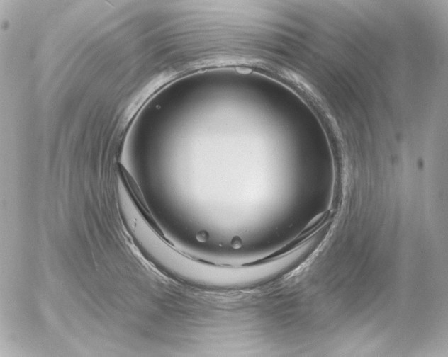 X0000052941185200507221139