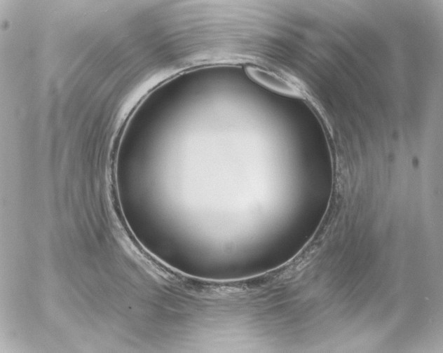 X0000052941187200507221139