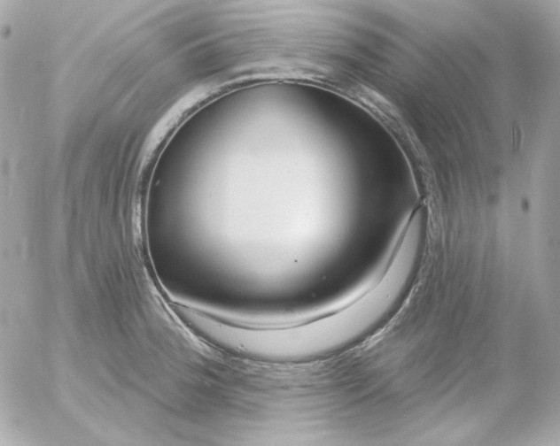 X0000052941188200507221139