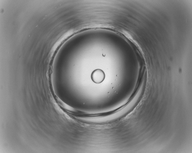 X0000052941189200507221139