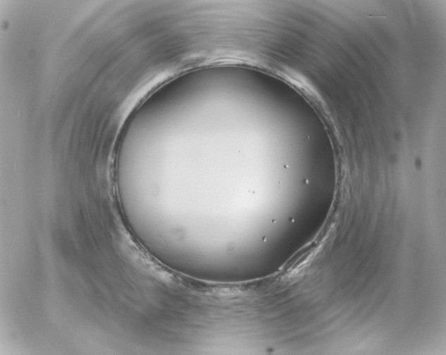 X0000052941190200507221139