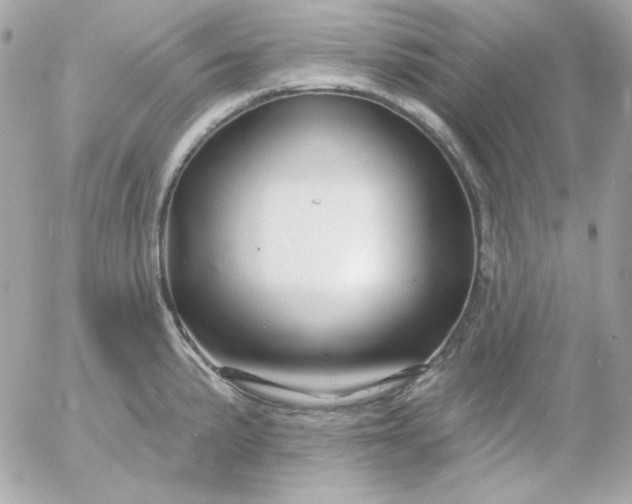 X0000052941191200507221139