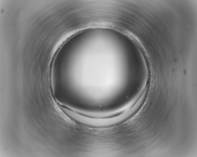 X0000052941192200507221139