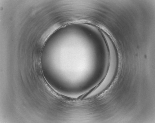 X0000052941193200507221139