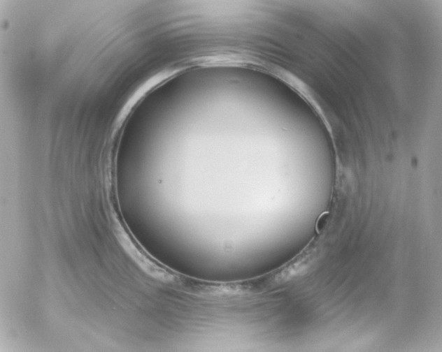 X0000052941195200507221139