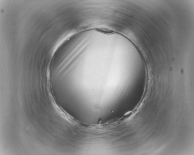 X0000052941198200507221139