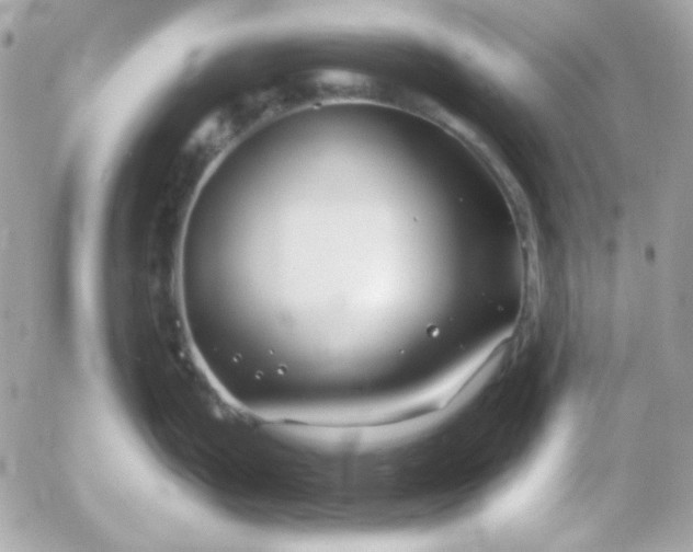 X0000052941199200507221139