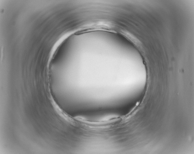 X0000052941200200507221139