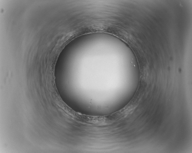 X0000052941201200507221138