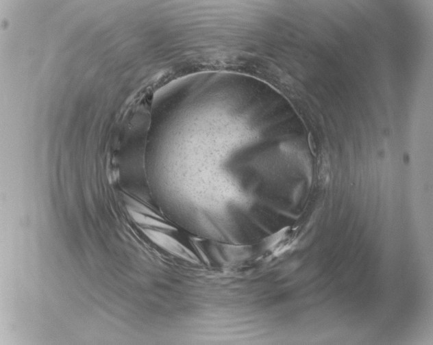 X0000052941202200507221138