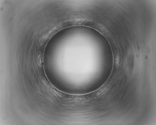 X0000052941204200507221138