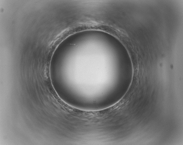 X0000052941205200507221138