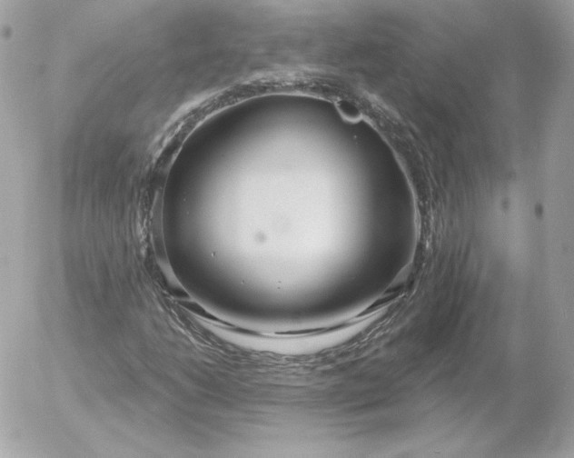 X0000052941206200507221138