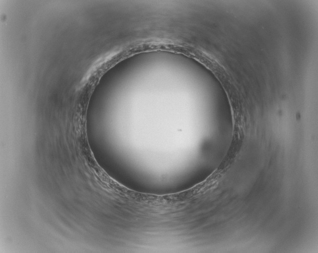 X0000052941207200507221138