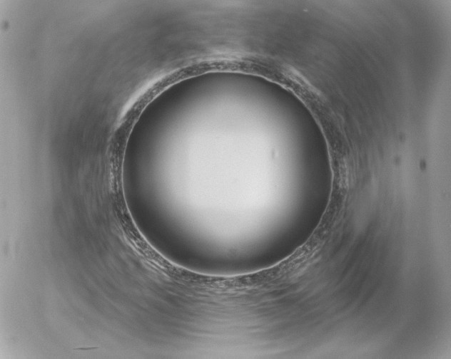 X0000052941208200507221138