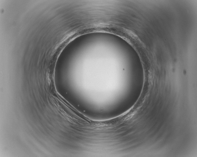 X0000052941209200507221138