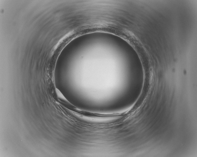 X0000052941210200507221138