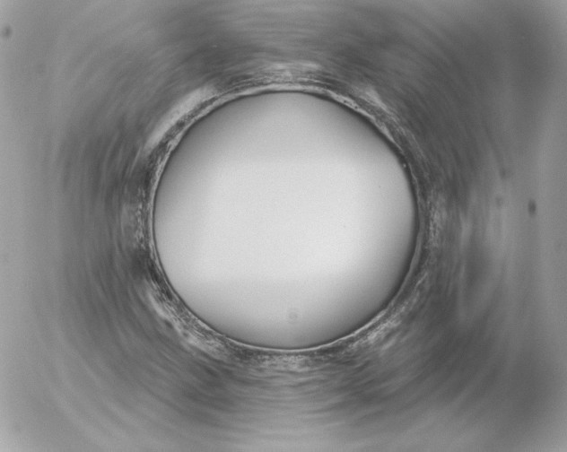 X0000052941211200507221138