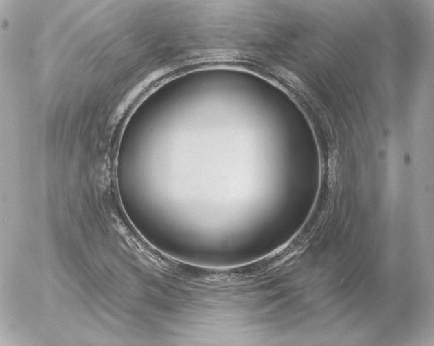 X0000052941212200507221138