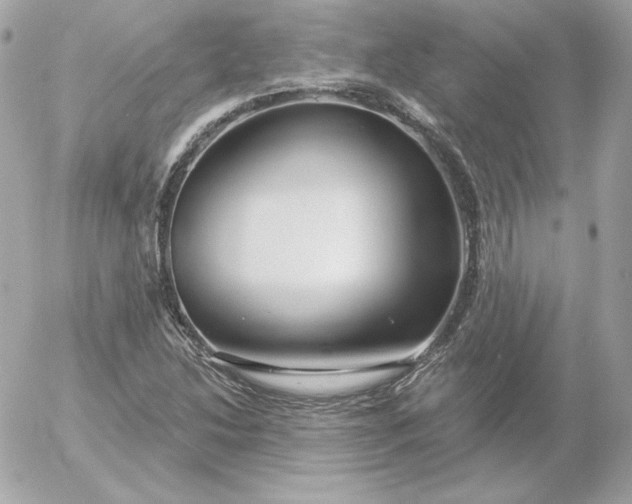 X0000052941214200507221138