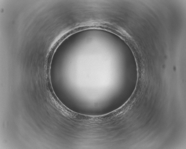 X0000052941216200507221138