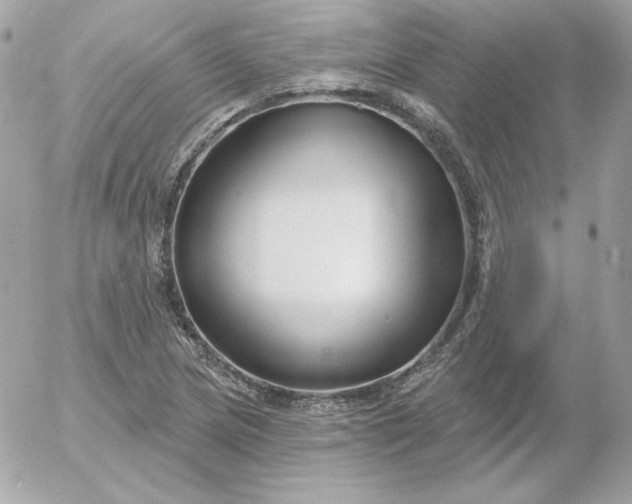 X0000052941217200507221138