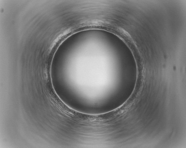 X0000052941218200507221138