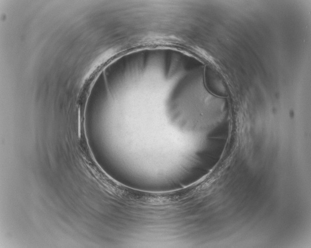 X0000052941219200507221138