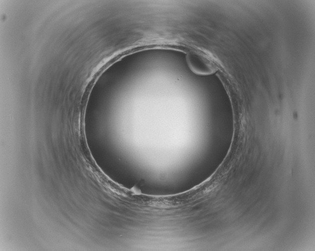 X0000052941220200507221138