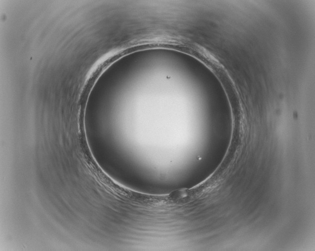 X0000052941222200507221138