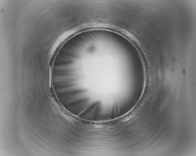 X0000052941223200507221138