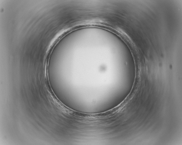 X0000052941224200507221138