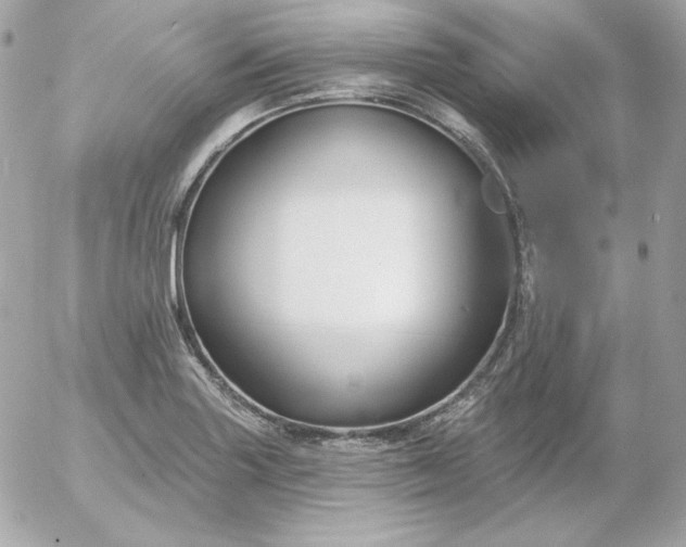 X0000052941227200507221138