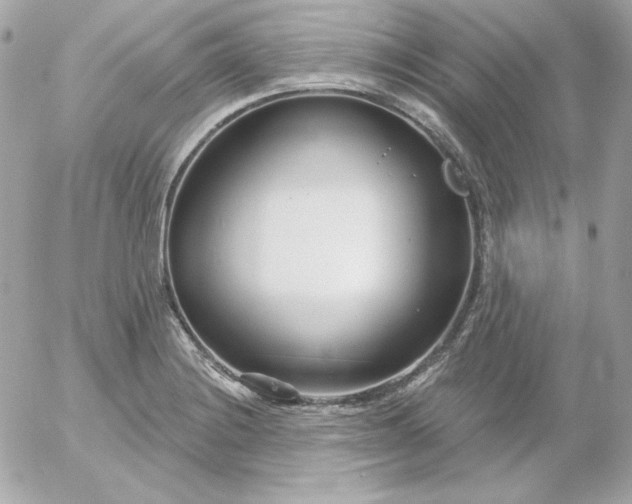 X0000052941228200507221138