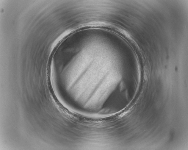 X0000052941229200507221138