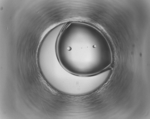 X0000052941230200507221138