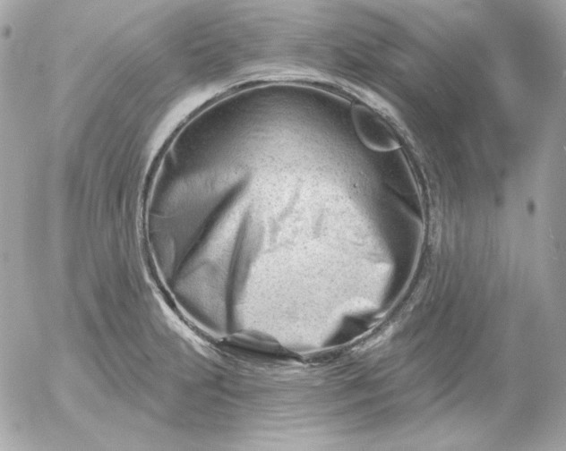 X0000052941231200507221138
