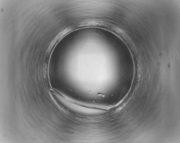 X0000052941233200507221138