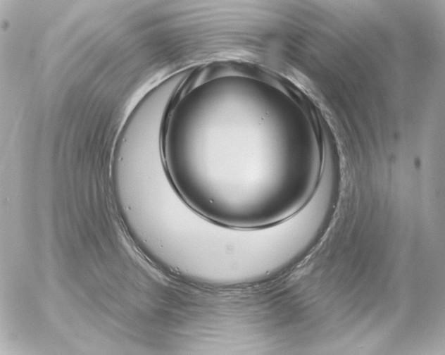 X0000052941234200507221138