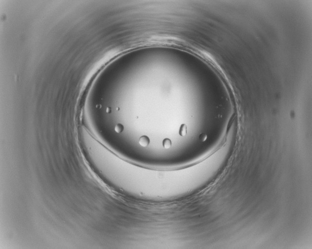 X0000052941235200507221138