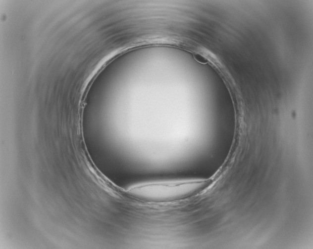 X0000052941236200507221138