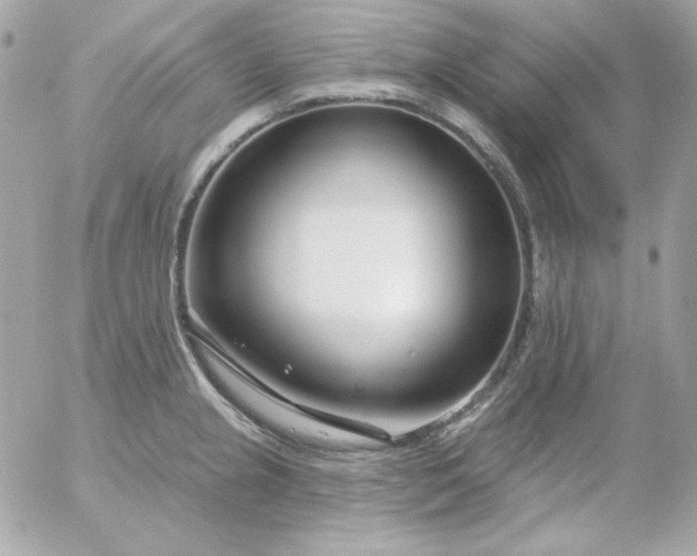 X0000052941237200507221138