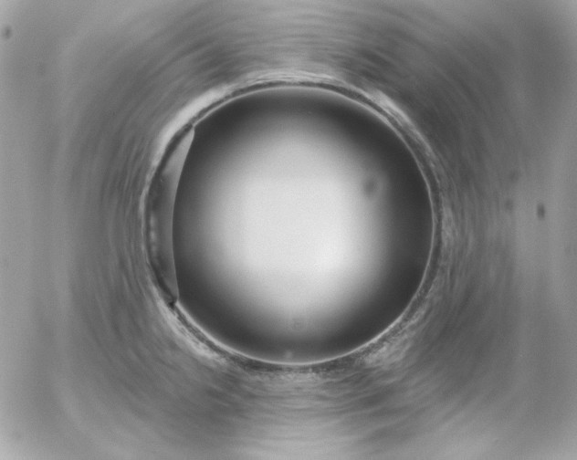 X0000052941238200507221138