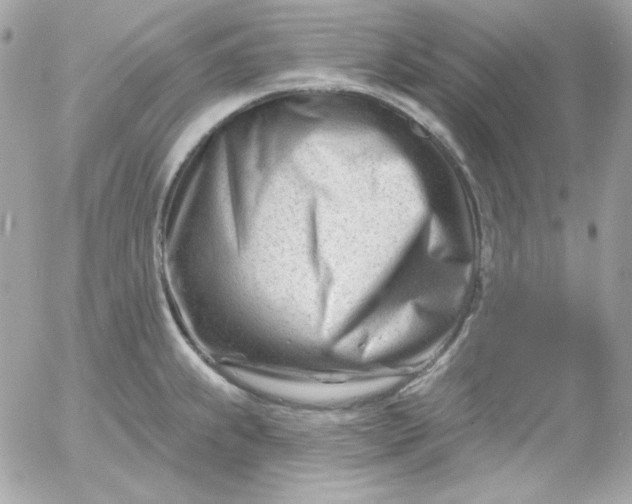 X0000052941239200507221138