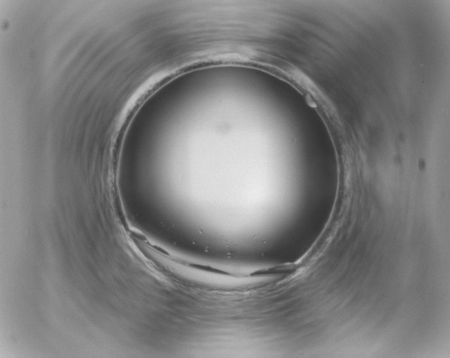 X0000052941240200507221138