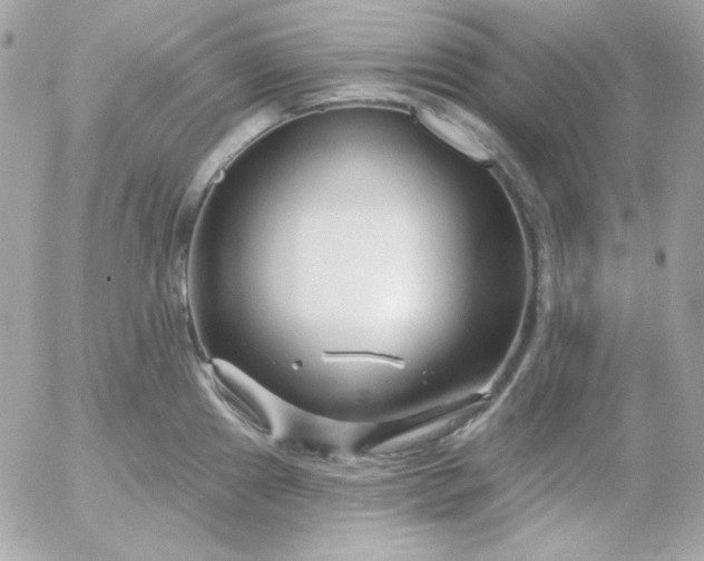 X0000052941241200507221138