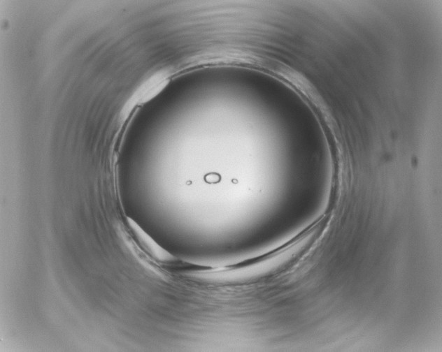 X0000052941242200507221138