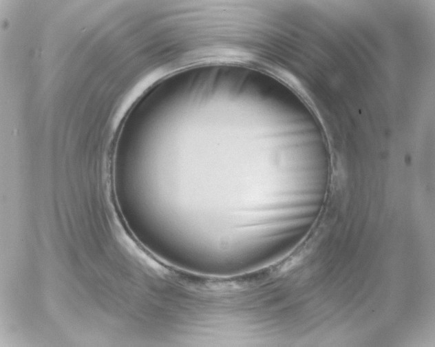 X0000052941243200507221138