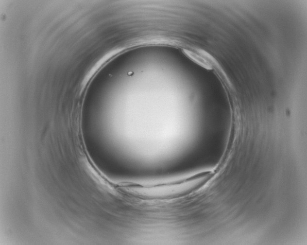 X0000052941244200507221138